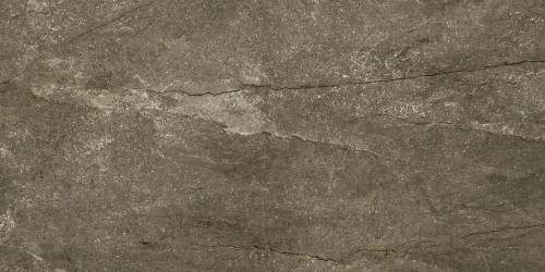 Pamesa CR.WELLS M MOKA 30x60 mat — plytka