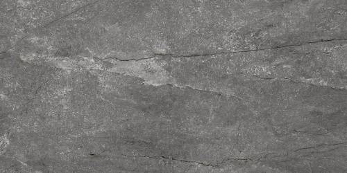 Pamesa CR.WELLS M ASH 30x60 mat — plytka