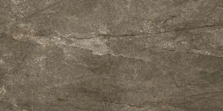 Pamesa CR.WELLS MOKA 30x60 połysk — plytka