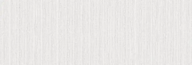 Pamesa DERNIA SNOW 30x90 mat — plytka