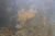 Baldocer-Metallic-Wild-120x260-stemar (11).webp