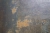Baldocer-Metallic-Wild-120x260-stemar (26).webp