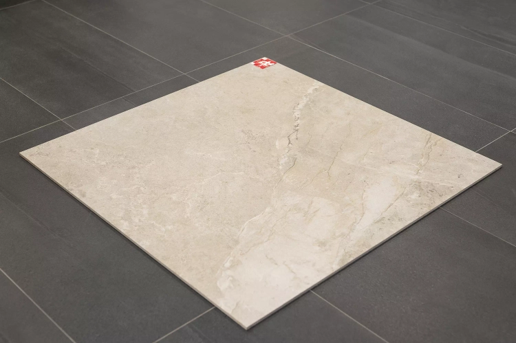 Płytka-gresowa-w-macie-zarówno-ścienna-jak-i-podłogowa-Essentiale-Erding-Pearl-w-rozmiarze-120x120-stmar (7).webp