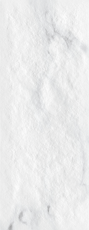 La-Platera-Montclair-35×90-stemar (6).png