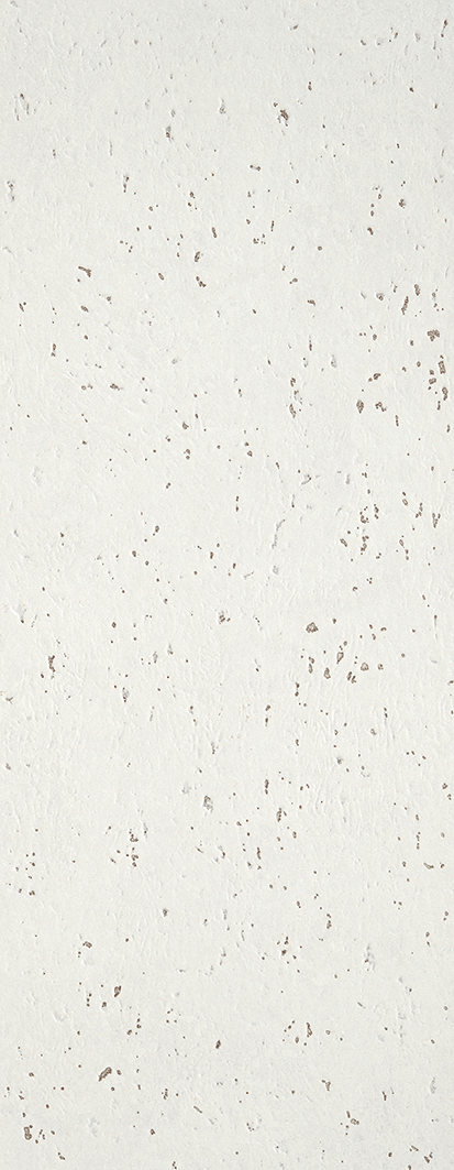 La-Platera-Goldstone-Snow-35×90-stemar-(2).png