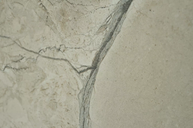 La-Platera-Earthsong-Natural-35x90-stemar (16).webp