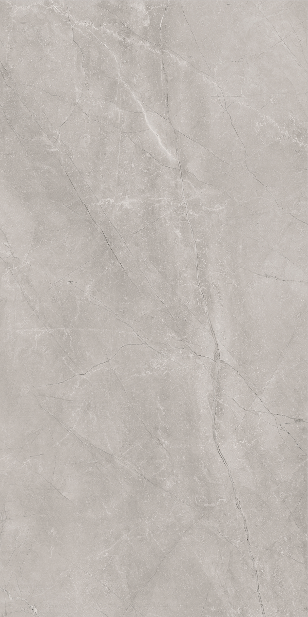 Stemar Baldocer Bayona Silver Natural 60x120 Mat Płytka Ścienna Podłogowa Gres