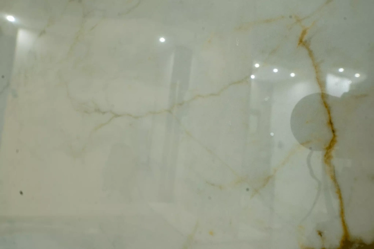 PAMESA-ceramica-Pisa-Gold-60x120-Poler-stemar (7).webp