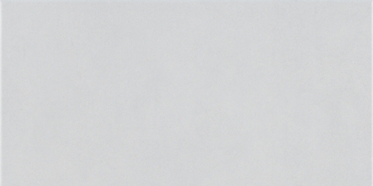 Stemar Pamesa At Blaze Argent 30,3x61,3 Mat Rektyfikowany Płytka Ścienna Podłogowa Gres