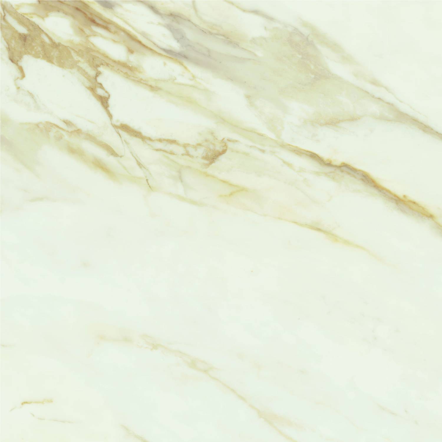 Stemar Baldocer Adaggio Gold Pulido 80x80 Połysk Płytka Ścienna Podłogowa Gres