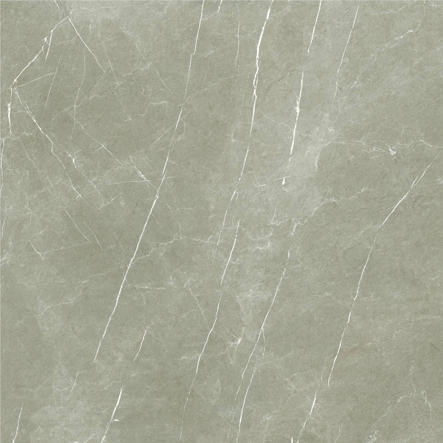 Stemar Baldocer Eternal Taupe Natural 120x120 Mat Płytka Ścienna Podłogowa Gres