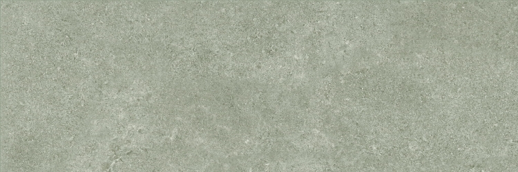 Stemar Baldocer Icon Grey 30x90 Mat Płytka Ścienna Glazura