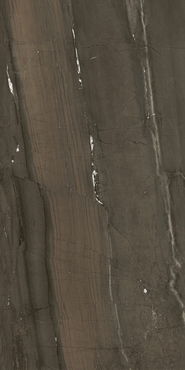 Stemar Pamesa Lux Jatoba Brown 120x280 Połysk Płytka Ścienna Podłogowa Gres