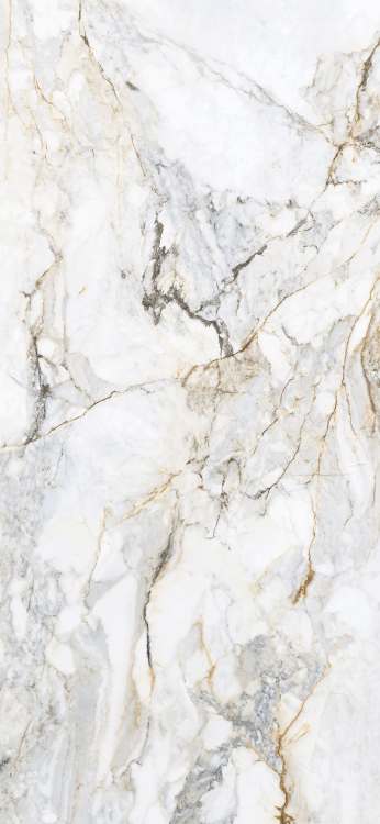 Stemar Pamesa Pisa Gold 120x260 Połysk Płytka Ścienna Podłogowa Gres