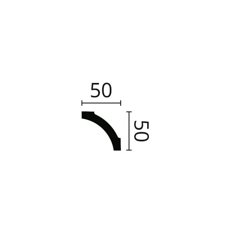 B5.jpg