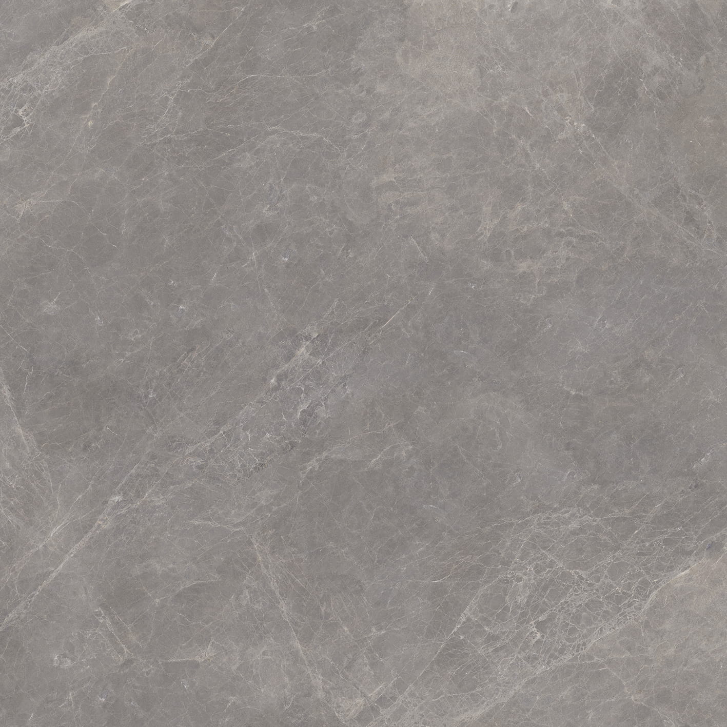 Stemar Porcelanosa Mystic Grey 120x120 Mat Płytka Ścienna Podłogowa Gres