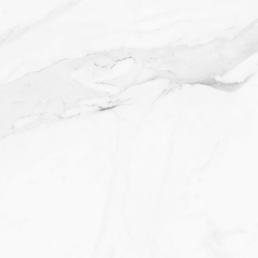 Stemar Pamesa Calacata White 120x120 Połyskj Płytka Ścienna Podłogowa Gres