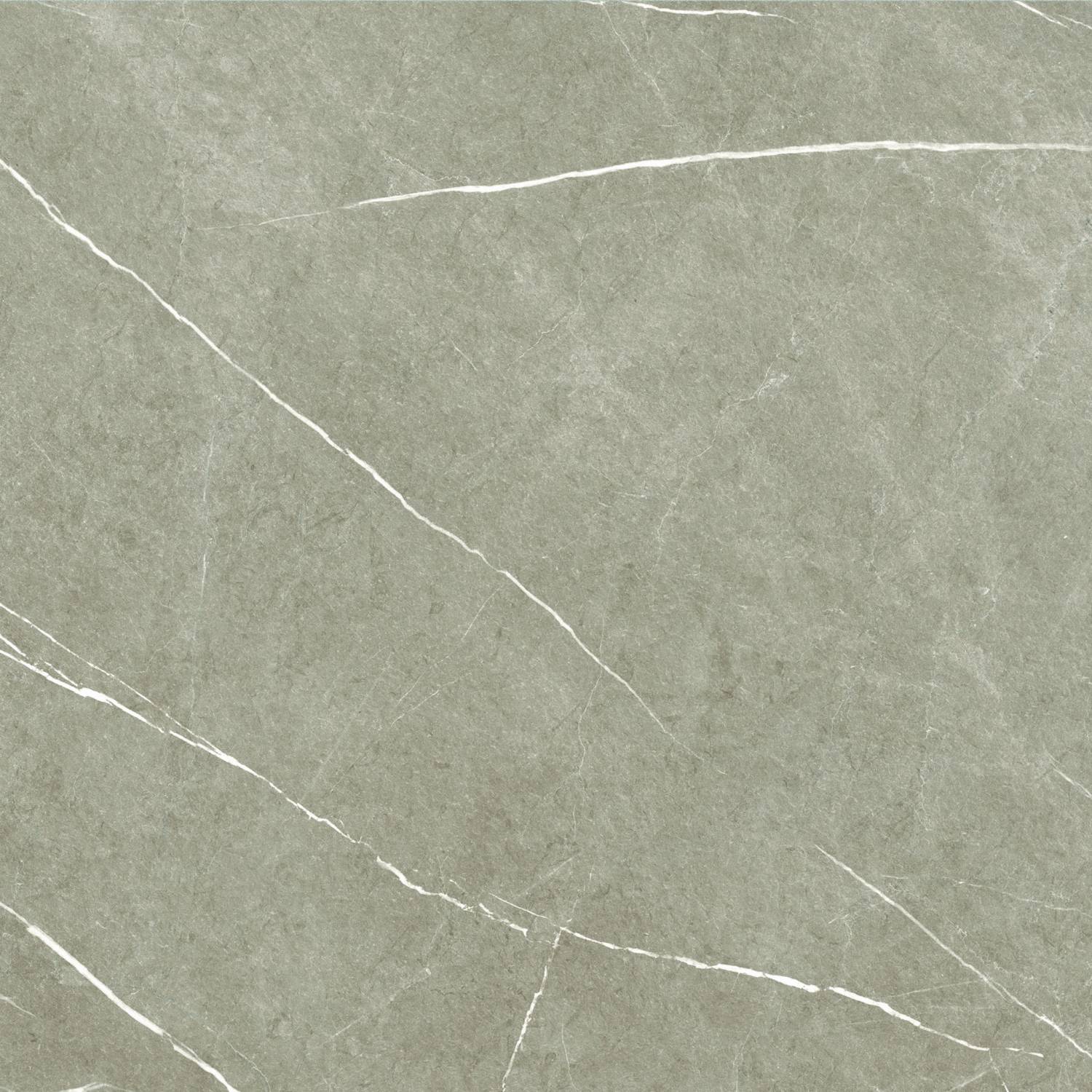 Stemar Baldocer Eternal Taupe NAtural 60x60 Mat Płytka Ścienna Podłogowa Gres