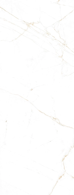 534fd0cb4fe89e9fb2d49f3e3bac7f53