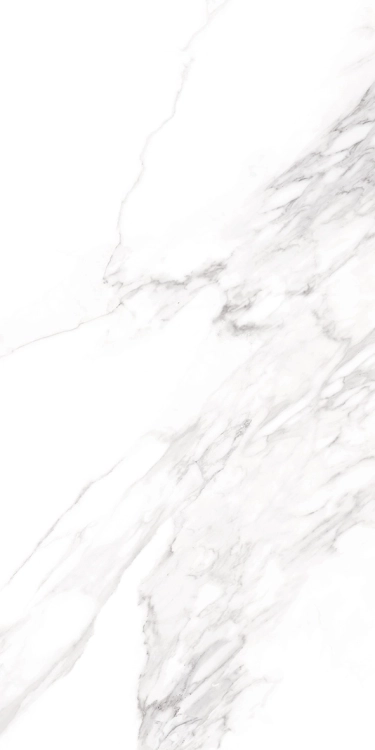 b244bab0fb0a193ac5d5f94edae00cc4