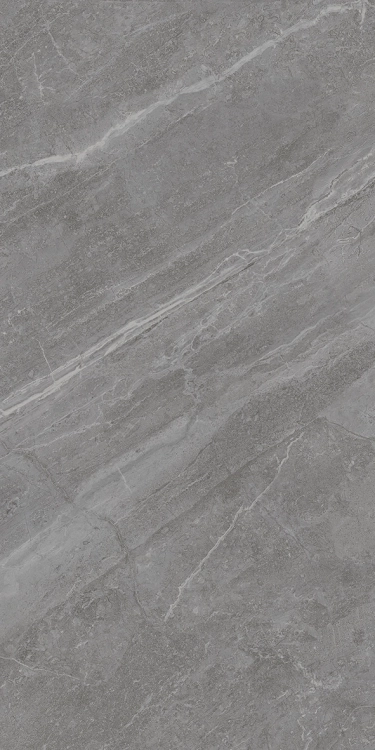 c445a9b8895d3e365ee8585d081908ad