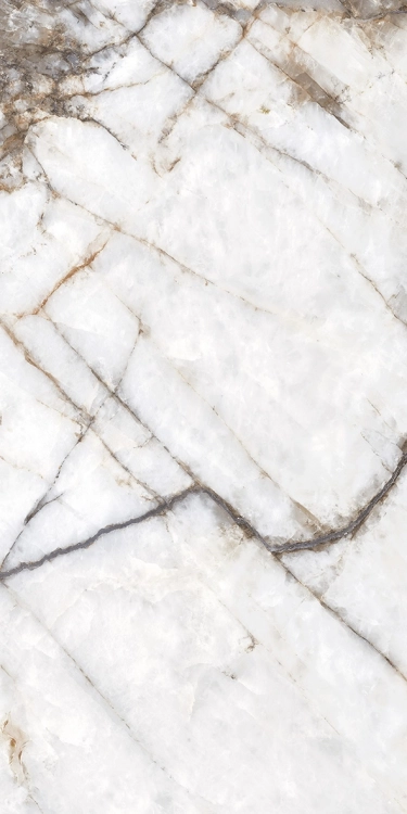 0f8c3652788729d5c09f47964f4349e1