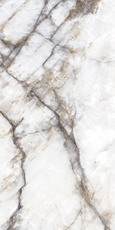 5c1e53cab8d449754c6f16ff7f0a30d1