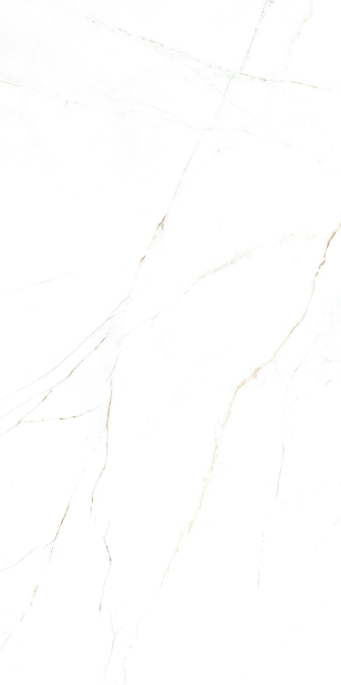 e4cff53e6f8da4cf1daf63a3970d4830