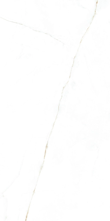 b2557a572525810d2f32cfbdc739fd8e