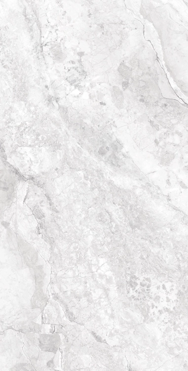 4183520abd3cc0ead37e75088c1d6036