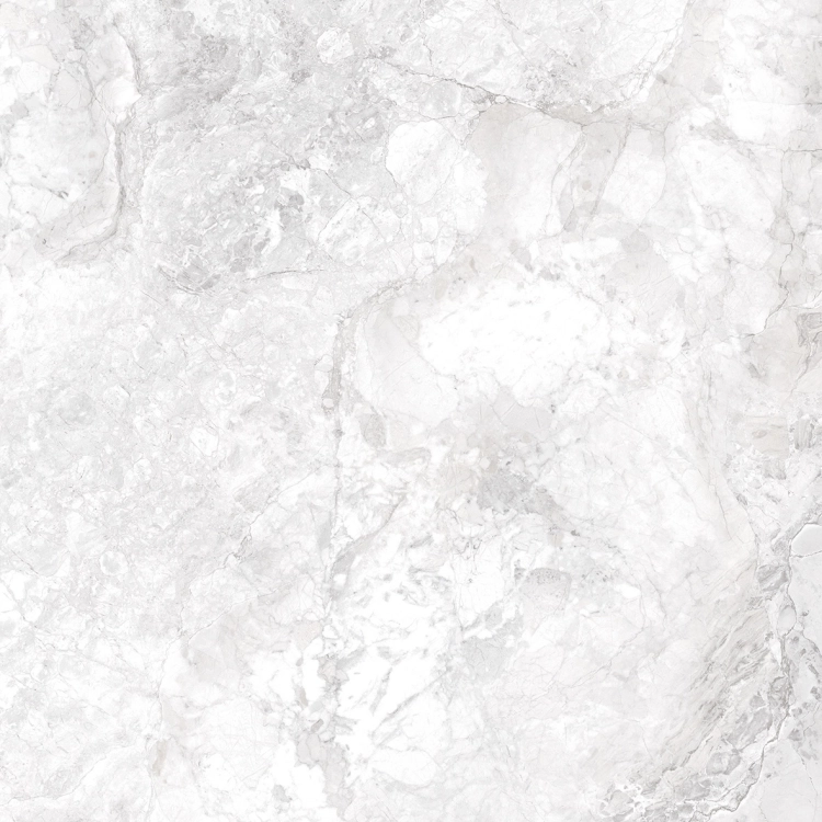 a6b884704822011ba9bc87c1fc7232ab