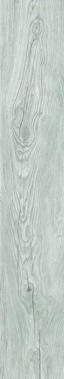 53efcff513bda1badb5d2380a9c66604