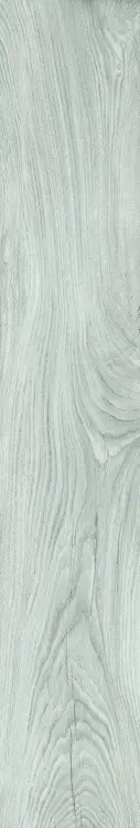 44032390c5997aeed165790d3b8a13b1