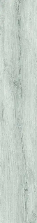 ff2e266224aa7ccbdaa3ec452502c4bc