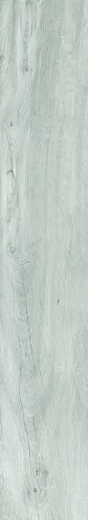 2ba7b11ef7b1c133962d1b5106859586