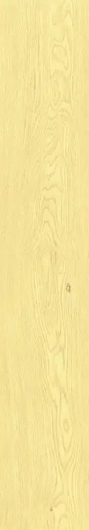 f3672635faddc7774325932018143747