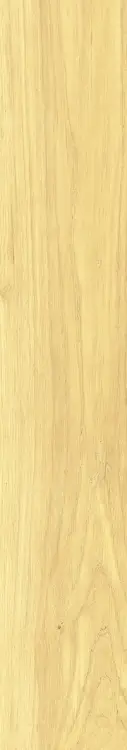 3b058b99355ad7dc38ef4bbbca638798