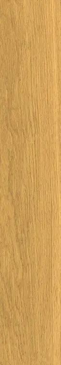 59139d9dd5c80b09d1723b83e0f4e201