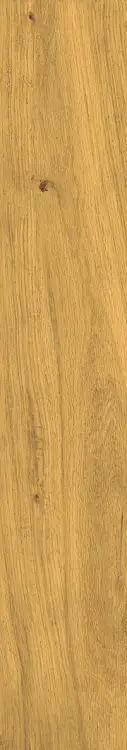54a227aebf6d72f76678164367f8d1b2