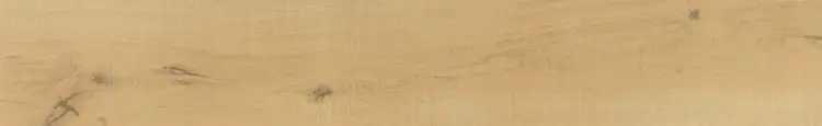 100339766_005.jpg