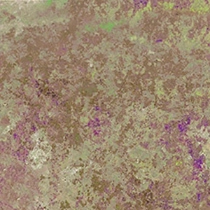 ef56273008744aaa623d62beabac8f83