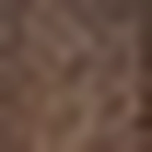 5413bbf6f7c6f36d7c34c8024bc4cc8b
