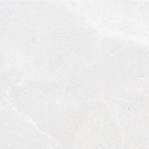 1c3892ecd9bc1bada88e91063e173022