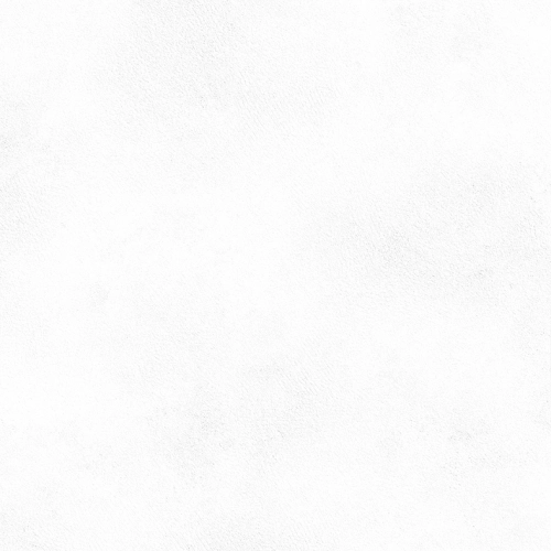 55221d15be8b93e5cea53f93394eb9b5