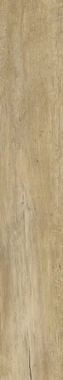 c01c545bb92e3fab85720f4ab04c6681