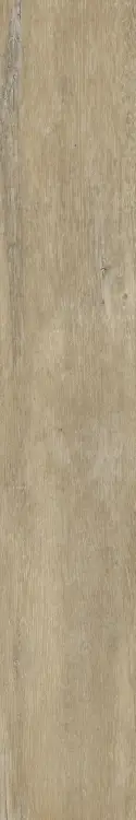 a1387e1c1fa0c5c5bda245f5461d5af6