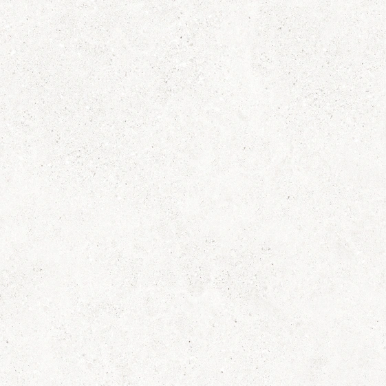 ea03c88632baeb2d5bbdbf83a000f0a6