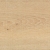 100339782.jpg