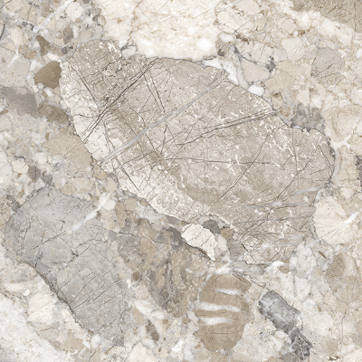 30143_DREAMY_MOCHA_60X120_EP_1.webp