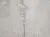 GROW-DOLPHIN-SP.webp